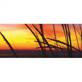 Panoramatická fototapeta - PA0335 - Oranžový západ slnka
