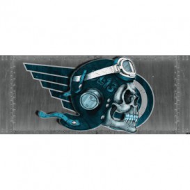 Panoramatická fototapeta - PA4017 - Lebka – pilot sivý