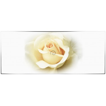 Panoramatická fototapeta - PA4078 - Biela ruža
