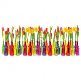 Panoramatická fototapeta - PA4116 - Tulipány