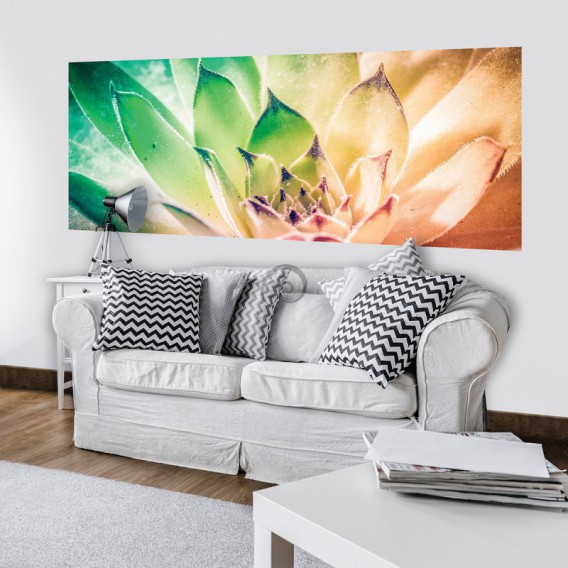 Panoramatická fototapeta - PA4225 - Farebný kvet