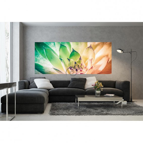 Panoramatická fototapeta - PA4225 - Farebný kvet