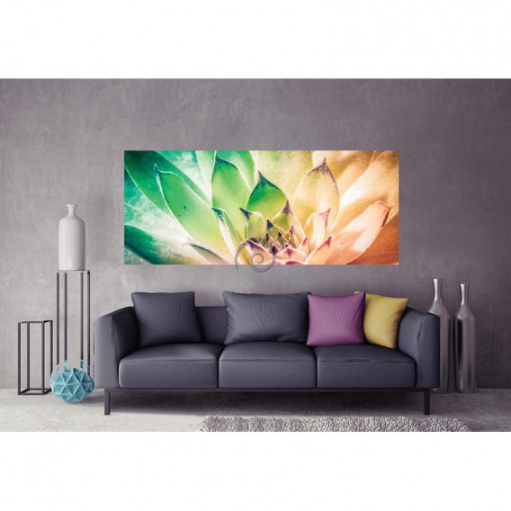 Panoramatická fototapeta - PA4225 - Farebný kvet