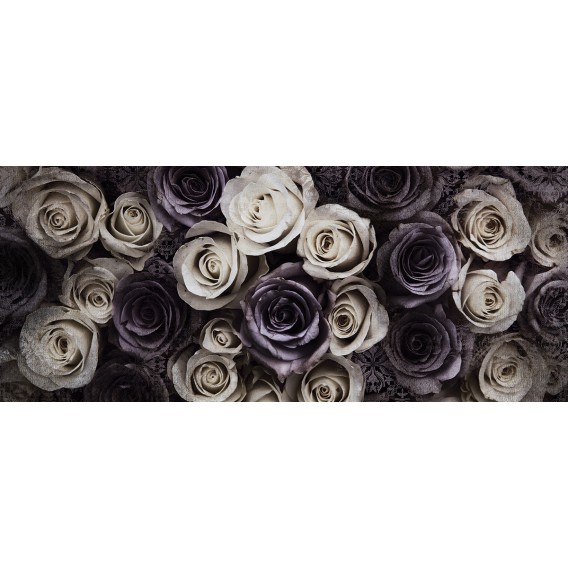 Panoramatická fototapeta - PA4227 - Ruže
