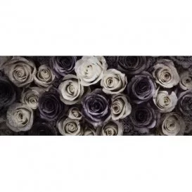 Panoramatická fototapeta - PA4227 - Ruže