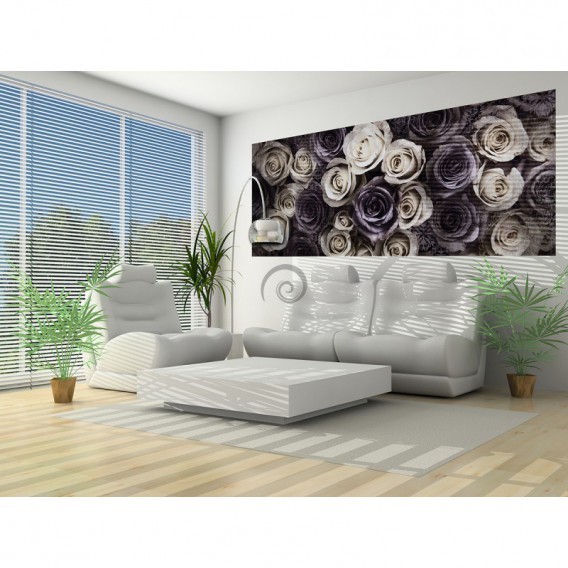 Panoramatická fototapeta - PA4227 - Ruže