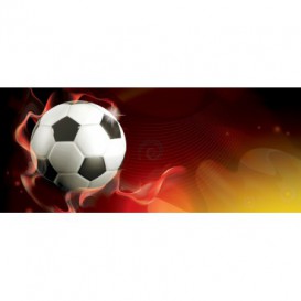 Panoramatická fototapeta - PA4297 - 3D futbalová lopta