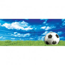 Panoramatická fototapeta - PA4300 - Futbalová lopta