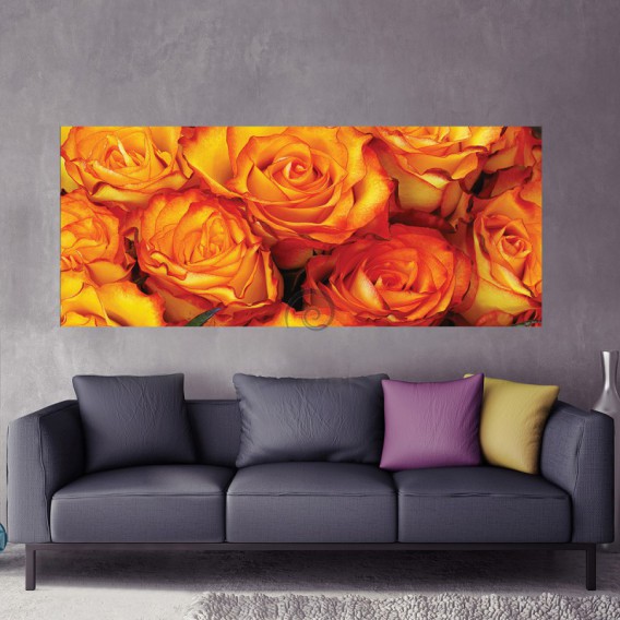 Panoramatická fototapeta - PA4305 - Oranžové ruže