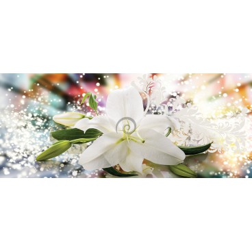 Panoramatická fototapeta - PA4348 - Biely kvet