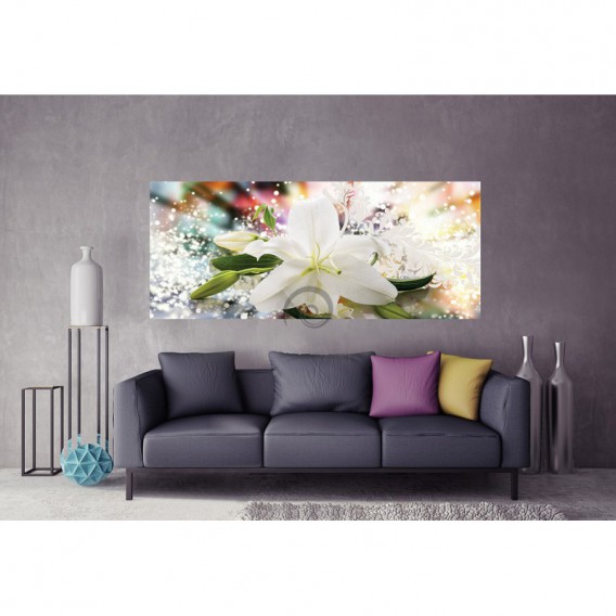 Panoramatická fototapeta - PA4348 - Biely kvet