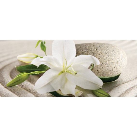 Panoramatická fototapeta - PA4352 - Biely kvet