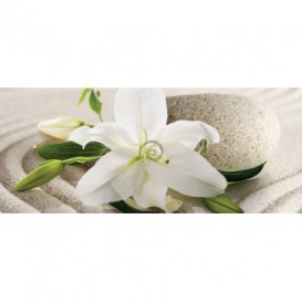 Panoramatická fototapeta - PA4352 - Biely kvet