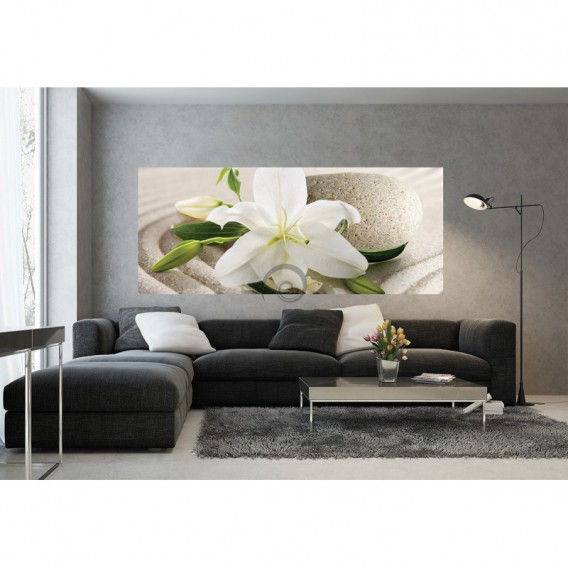 Panoramatická fototapeta - PA4352 - Biely kvet