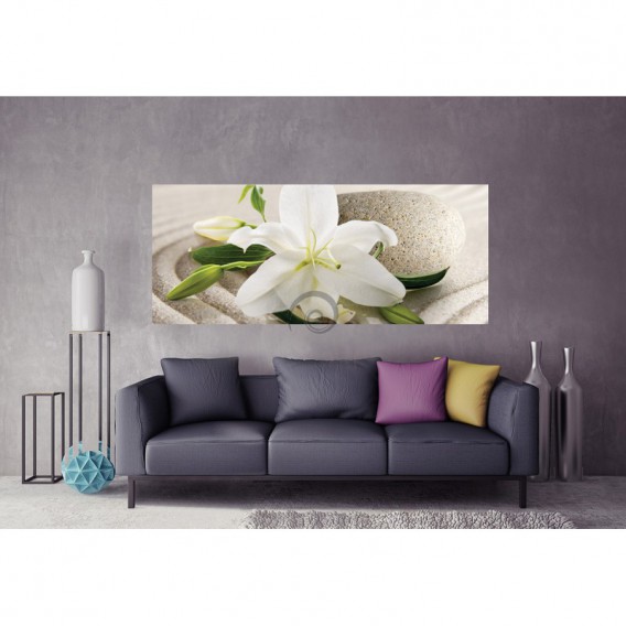 Panoramatická fototapeta - PA4352 - Biely kvet