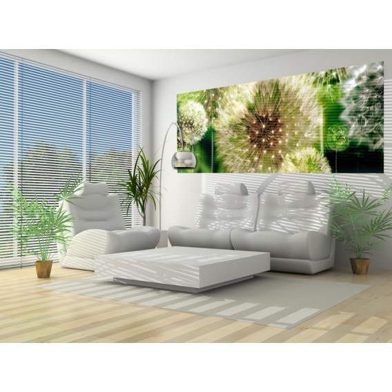 Panoramatická fototapeta - PA0033 - Púpava