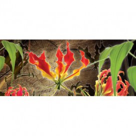 Panoramatická fototapeta - PA4417 - Červené ľalie