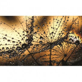 Fototapeta na stenu - FT0285 - Rosa na kvete