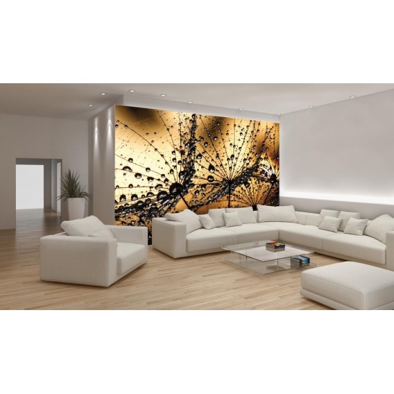 Fototapeta na stenu - FT0285 - Rosa na kvete