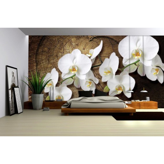 Fototapeta na stenu - FT0792 - Biele kvety