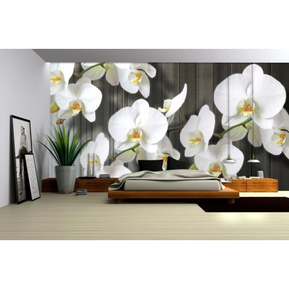 Fototapeta na stenu - FT0793 - Biele kvety