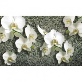 Fototapeta na stenu - FT0794 - Biele kvety