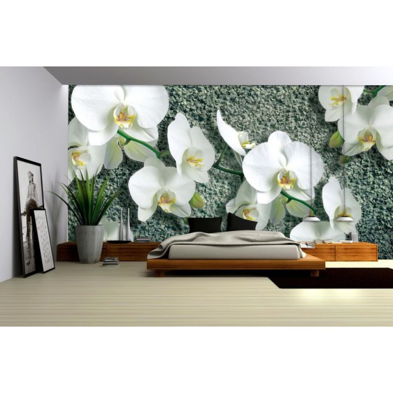 Fototapeta na stenu - FT0794 - Biele kvety