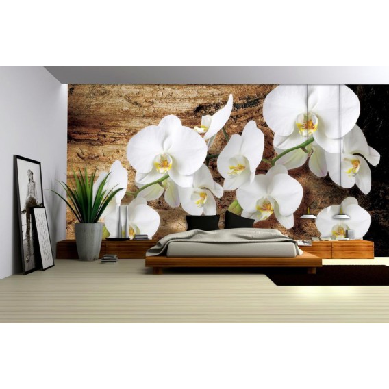 Fototapeta na stenu - FT0795 - Biele kvety