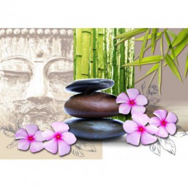 Fototapeta na stenu - FT0139 - Zelené listy , kamienky , kvety