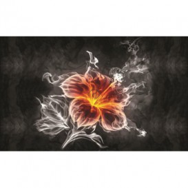 Fototapeta na stenu - FT2694 - Kvet z plameňa