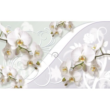Fototapeta na stenu - FT2862 - Biele kvety na bielom pozadí