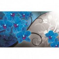 Fototapeta na stenu - FT4507 - Modrá orchidea