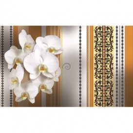 Fototapeta na stenu - FT2883 - Biele kvety na oranžovom pozadí