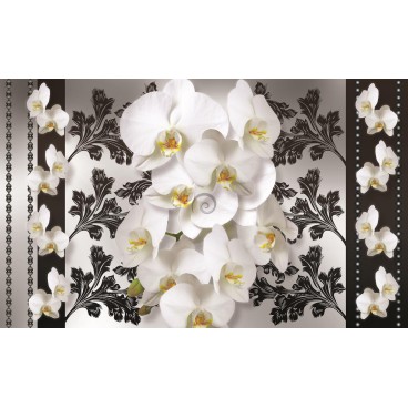 Fototapeta na stenu - FT2884 - Biele kvety na čiernom pozadí