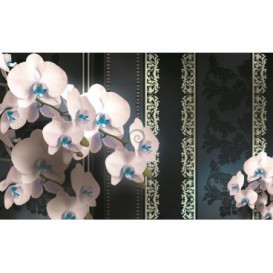 Fototapeta na stenu - FT2893 - Biele kvety