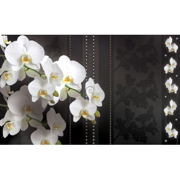 Fototapeta na stenu - FT2895 - Biele kvety