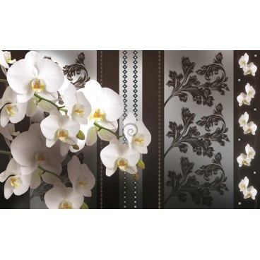 Fototapeta na stenu - FT2896 - Biele kvety