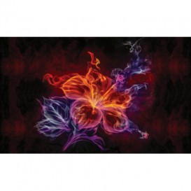 Fototapeta na stenu - FT2906 - Kvet z plameňa