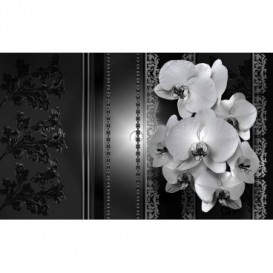 Fototapeta na stenu - FT2908 - Biele kvety na čiernom pozadí