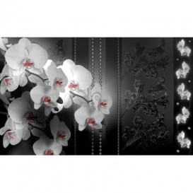 Fototapeta na stenu - FT2909 - Biele kvety na čiernom pozadí