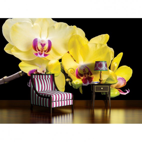 Fototapeta na stenu - FT2954 - Žlté kvety