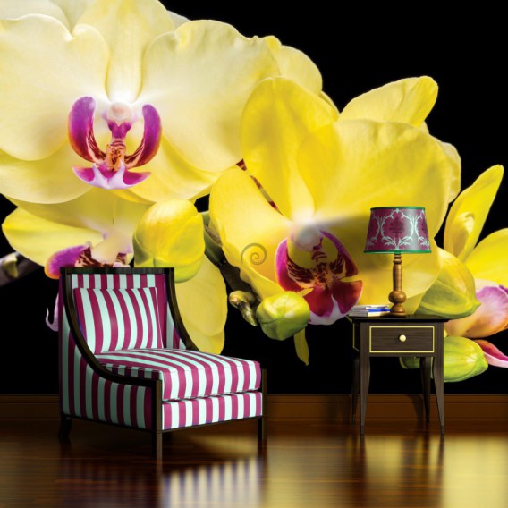 Fototapeta na stenu - FT2954 - Žlté kvety