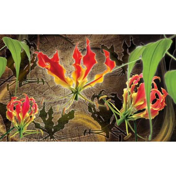 Fototapeta na stenu - FT2928 - Červené ľalie