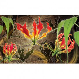 Fototapeta na stenu - FT2928 - Červené ľalie