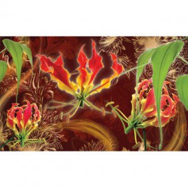 Fototapeta na stenu - FT2929 - Červené ľalie na hnedom pozadí