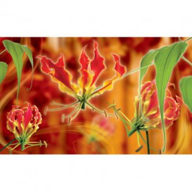 Fototapeta na stenu - FT2930 - Červené ľalie na oranžovo pozadí