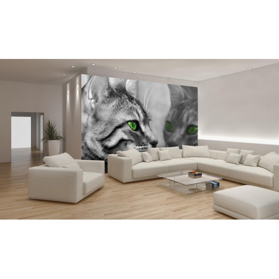 Fototapeta na stenu - FT0169 - Mačka