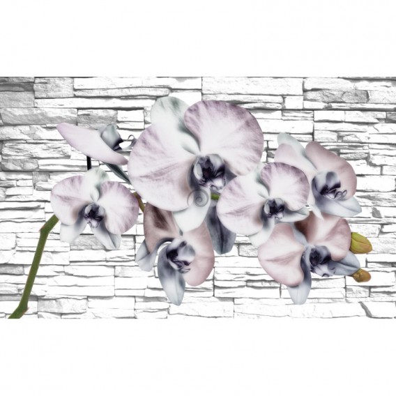 Fototapeta na stenu - FT2966 - Sivé kvety