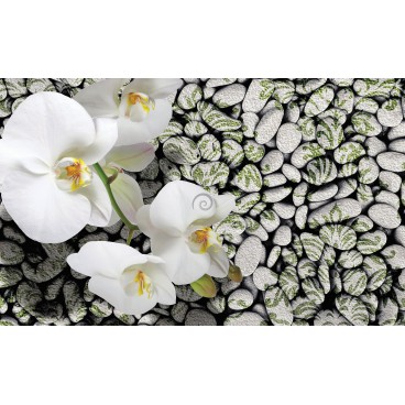 Fototapeta na stenu - FT2985 - Biele kvety na kameňoch