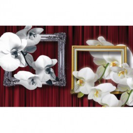 Fototapeta na stenu - FT2986 - Biele kvety v rámoch
